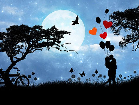 Compatibilité amoureuse